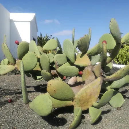 Cactus & Aloe Villa Playa Blanca (Lanzarote)