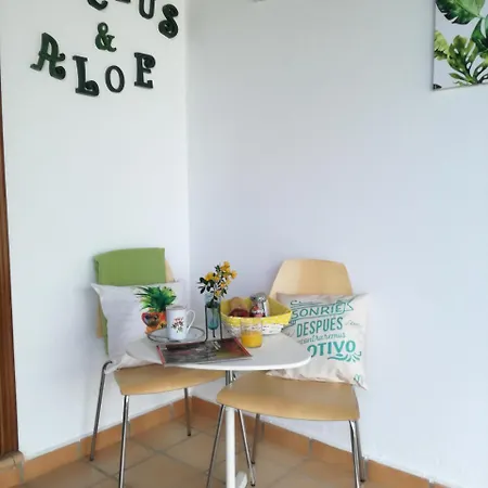 Villa Cactus & Aloe *